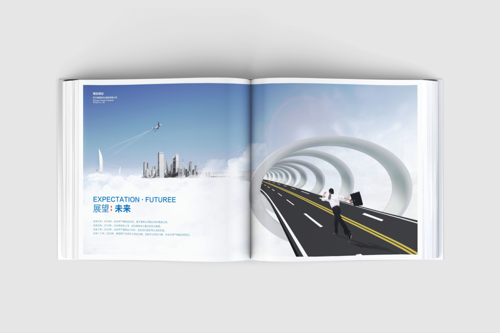 下花园区画册设计